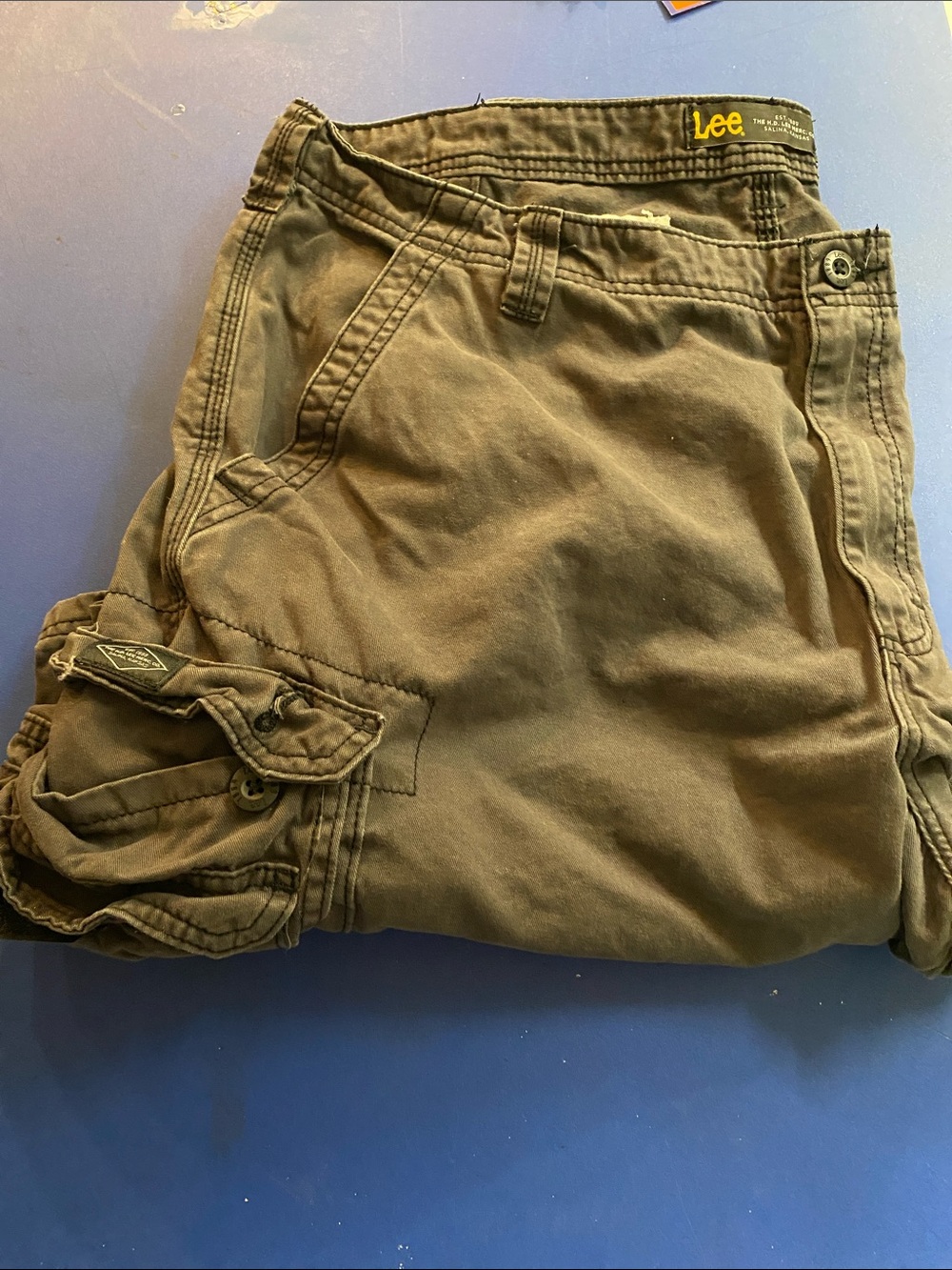 Lee Men’s Cargo Shorts in Olive Green